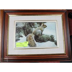 FRAMED PRINT BY ROBERT BATEMAN  "GREY SQUIRREL"