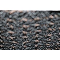 25)CARPET ROLL END  22'3"