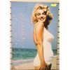 Image 1 : MARILYN MONROE PICTURE