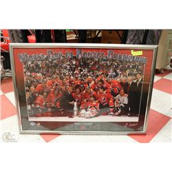FRAMED 28 X 38 2004 TEAM CANADA PICTURE