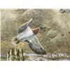 Image 2 : Unframed Oil On Canvas Of Ducks In Flight