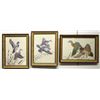 Image 1 : Framed Duck Prints By Wm. Zimmerman