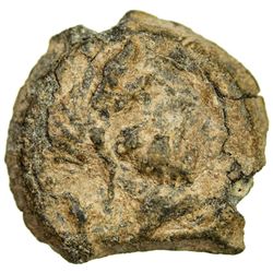 ARABIA: AE 11mm (0.99g). VF-EF