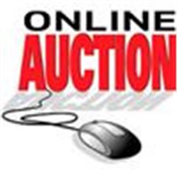 TUCSON, AZ RRAA DSM CONSIGNMENTS ONLINE SILENT AUCTION