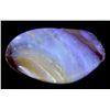 Image 2 : Australian Boulder Opal Stone Collection