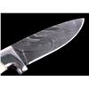 Image 2 : Damascus & Exotic Camel Bone CFK Knife