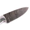 Image 2 : CFK Custom Damascus & Camel Bone Knife