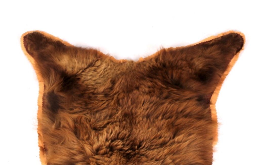 Montana Cinnamon Brown Bear Rug