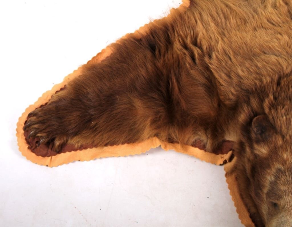 Montana Cinnamon Brown Bear Rug