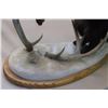Image 6 : Full Mount Fisher- Deer Antlers- Base 28"- 22"H