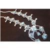 Image 3 : Squash Blossom Necklace- Genuine Truquoise- 16"L- Display Not Included
