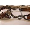Image 2 : Stanbro Overlaid Mechanical Hackamore /\ l Conchos- Headstall and Reins