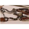 Image 5 : Stanbro Overlaid Mechanical Hackamore /\ l Conchos- Headstall and Reins
