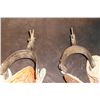 Image 8 : Kelly Bros. Silver Overlaid Spurs- Silver Buttons- Heavy Duty Carved Straps