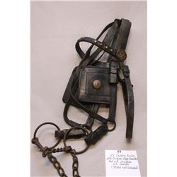 U.S. Cavalry Bridle With Original Eagle Rosettes and U.S. Insignia- U.S. Conchos- Stand Not Included