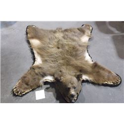 Double Matted Black Bear Rug- Chocolate Color- Nose to Tail 49"- Across Front Paws 48"- Across Back 