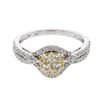 Image 1 : Round-Cut Cluster Diamond Ring In 14K White And Yellow Gold | 437977