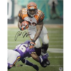 Rudi Johnson Signed Cincinnati Bengals 16X20 Photo Minor Ding