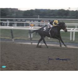 Seattle Slew Signed Belmont Stakes Horse Racing 16X20 Photo