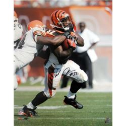 Rudi Johnson Signed Cincinnati Bengals 16X20 Photo Minor Scratch