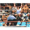 Image 1 : Sugar Shane Mosley Signed Boxing 16X20 Photo Knockout