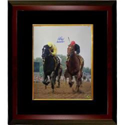 Easy Goer Signed Horse Racing 1989 Belmont Stakes 16X20 Photo Custom Framed Vs Sunday Silence W/ "He