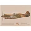 Image 7 : RARE Original Flying Tigers P40 Airplane Decal