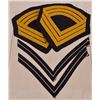 Image 1 : Indian Wars Chevrons