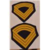 Image 2 : Indian Wars Chevrons