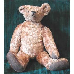 A gold plush humpback teddy bear with long nose, articulated limbs and button in left ear (ILLUS...