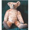 Image 1 : A gold plush humpback teddy bear with long nose, articulated limbs and button in left ear (ILLUS...