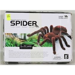 NEW INFRARED REMOTE CONTROL SPIDER WITH
