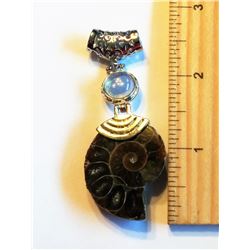 POLISHED AMMOLITE PENDANT