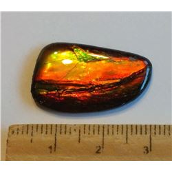 26MM X 16MM NATURAL AMMOLITE GEMSTONE
