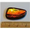 Image 1 : 26MM X 16MM NATURAL AMMOLITE GEMSTONE