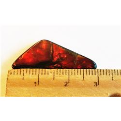 NATURAL AMMOLITE GEMSTONE