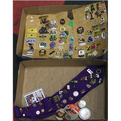FLAT OF COLLECTIBLE PINS