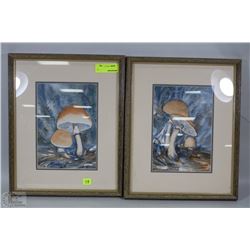 PAIR OF FRAMED MYSTICAL MUSHROOMS PICTURES
