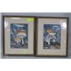 Image 1 : PAIR OF FRAMED MYSTICAL MUSHROOMS PICTURES