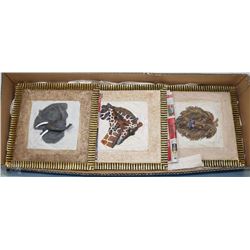 BOX W/3 SAFARI WALL PLAQUES - LION,