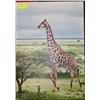 Image 1 : LARGE GIRAFFE PRINT ON CANVAS 20''X27.5"