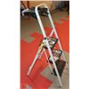 Image 1 : 3 STEP LADDER
