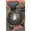 Image 1 : EXERCISE BALL CHAIR