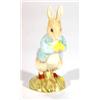 Image 1 : Hand painted Royal Albert Beatrix Potter 'P…