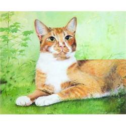 Framed well detailed watercolour 'Ginger an…