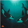 Image 2 : In the Company of Orcas by Wyland