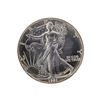 Image 1 : 1991 American Silver Eagle Dollar Coin