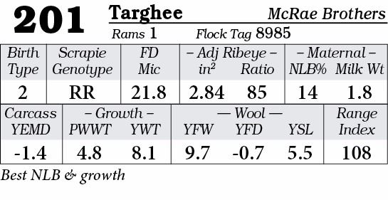 Lot 201 - Targhee