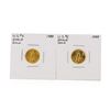 Image 1 : Set of 1988 & 1989 $5 American Gold Eagle Coins