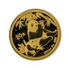 Image 1 : 2007 1/20 oz China Panda Gold Coin